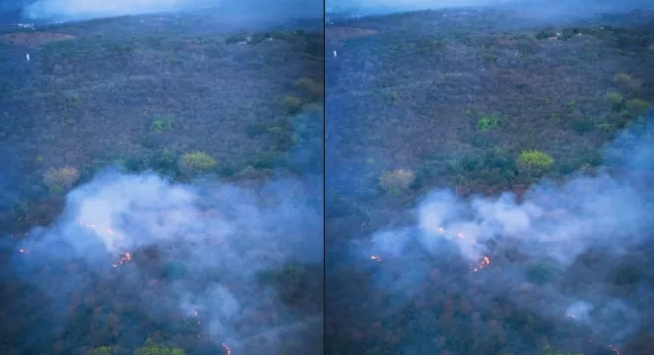 Queimada de grandes proporções atinge 50 hectares da Floresta Nacional do Araripe, segundo o ICMBio