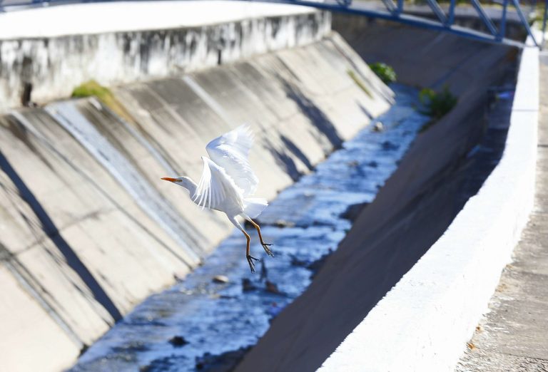 Reforma do Canal do Rio Granjeiro em Crato tem prazo de conclusão até setembro de 2026