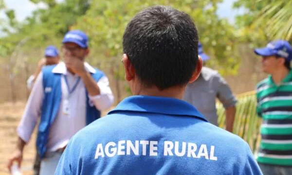 Descubra como se inscrever para o Programa Agente Rural com 121 vagas disponíveis no Cariri