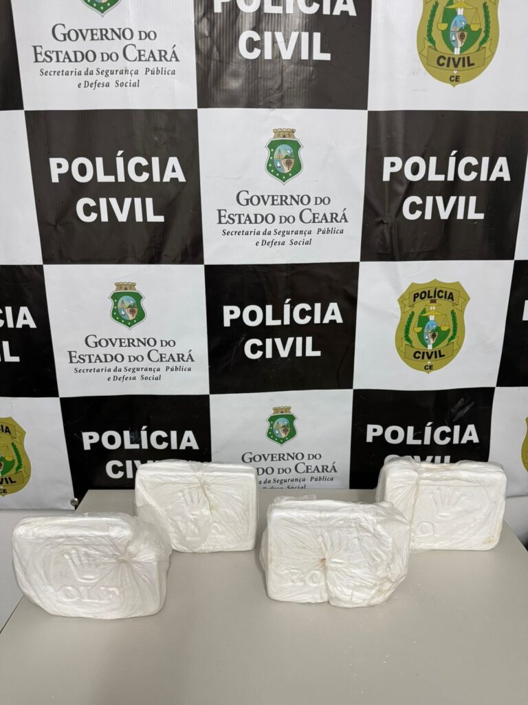 Mulher é detida com entorpecentes pela Polícia Civil em Nova Olinda