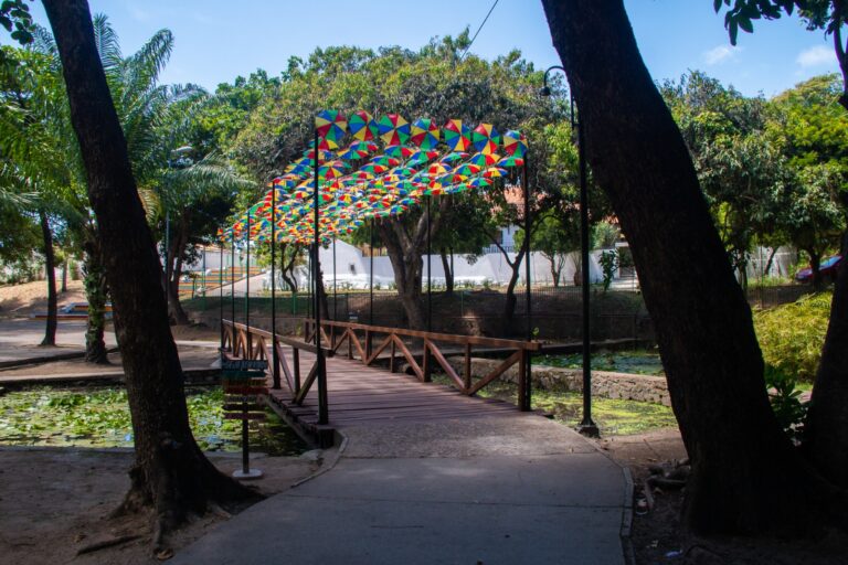 Olinda Dá Gosto vira refúgio gastronômico no meio da folia