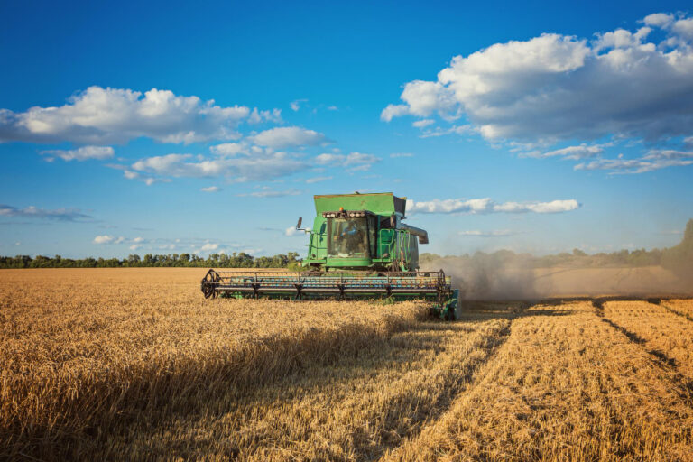 Cauê Lopes Martins destaca a importância dos fertilizantes para aumentar a produtividade agrícola de forma sustentável
